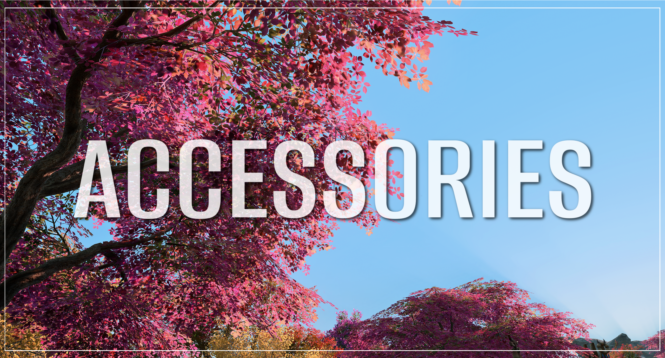 Accessories