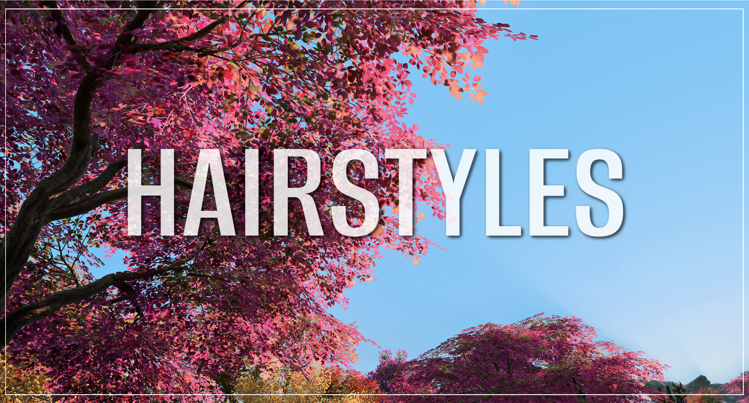 Hairstyles