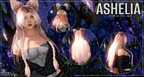 Ashelia