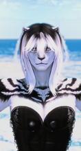 Load image into Gallery viewer, Vahse
