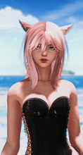Load image into Gallery viewer, Vahse
