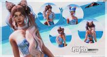 Load image into Gallery viewer, Quinn
