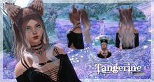 Load image into Gallery viewer, Tangerine
