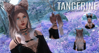 Ponytail Bundle #1