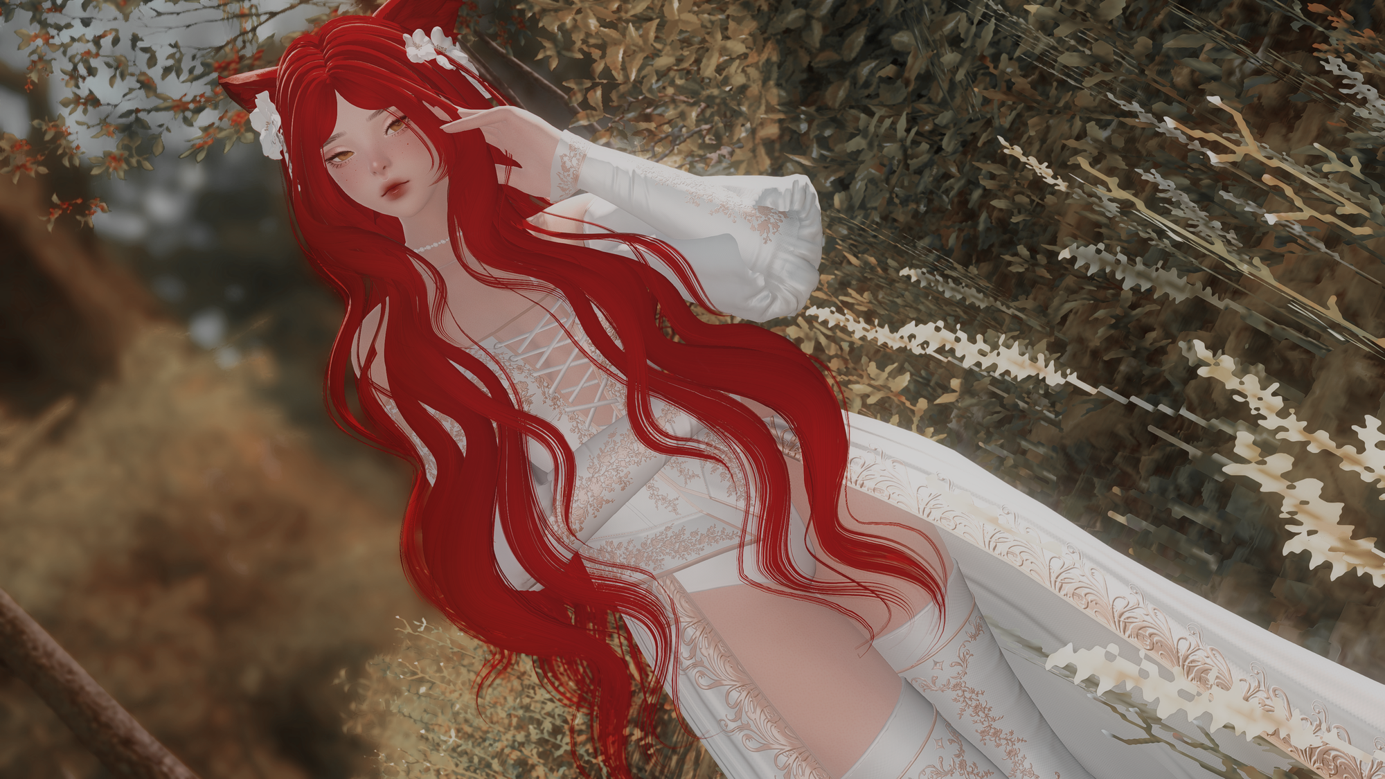 Dream