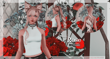 Load image into Gallery viewer, Rose

