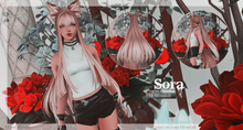 Load image into Gallery viewer, Sora
